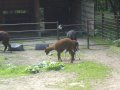 IMGP0835.JPG